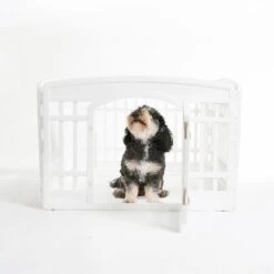 IRIS USA 4-6 Panel Dog Exercise Playpen With Door, 24-in -PetSafe Kong Shop 182204 PT6. AC SS1800 V1685548201