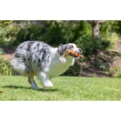 Chuckit! Ultra Fetch Stick Dog Toy -PetSafe Kong Shop 182771 PT3. AC SS1800 V1682711098