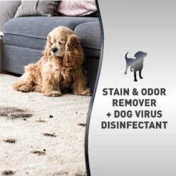 Nature's Miracle Advanced Platinum Dog Antibacterial Stain Remover & Odor Eliminator Spray, 32-oz Bottle -PetSafe Kong Shop 183004 PT2. AC SS1800 V1701116420