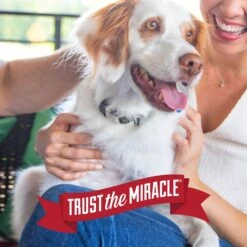 Nature's Miracle Advanced Platinum Dog Antibacterial Stain Remover & Odor Eliminator Spray, 32-oz Bottle -PetSafe Kong Shop 183004 PT8. AC SS1800 V1701116418