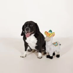 Pet Shop By Fringe Studio Nacho Fiesta Llama Squeaky Plush Dog Toy -PetSafe Kong Shop 183835 PT2. AC SS1800 V1595371021