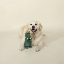 Pet Shop By Fringe Studio Cha-Cha T-Mex Rex Squeaky Plush Dog Toy 5 Pet Shop By Fringe Studio Cha-Cha T-Mex Rex Squeaky Plush Dog Toy -PetSafe Kong Shop 183841 PT3. AC SS1800 V1629243995