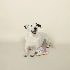 Pet Shop By Fringe Studio Tina The Hedgehog Squeaky Plush Dog Toy -PetSafe Kong Shop 183889 PT3. AC SS1800 V1629246704