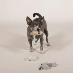 Pet Shop By Fringe Studio Llama Love You Forever Squeaky Plush Mini Dog Toys, 3 Count -PetSafe Kong Shop 183921 PT2. AC SS1800 V1595369826