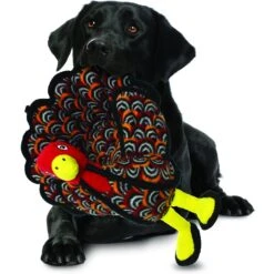 Tuffy's Barnyard Turkey Squeaky Plush Dog Toy 8 Tuffy's Barnyard Turkey Squeaky Plush Dog Toy -PetSafe Kong Shop 184019 PT2. AC SS1800 V1589570505