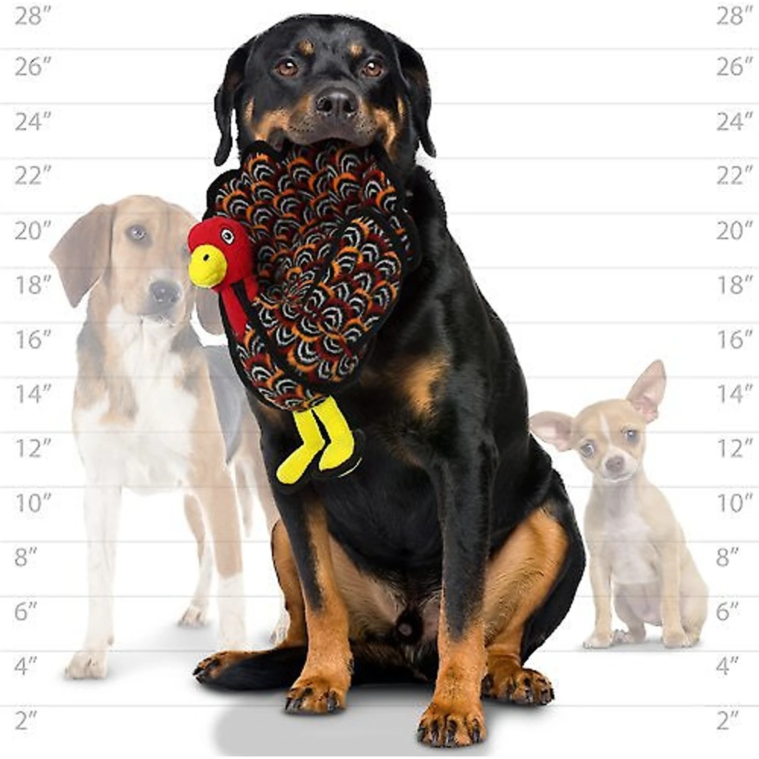 Tuffy's Barnyard Turkey Squeaky Plush Dog Toy 4 Tuffy's Barnyard Turkey Squeaky Plush Dog Toy - Image 4