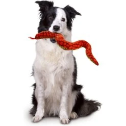 Tuffy's Desert Snake Squeaky Plush Dog Toy -PetSafe Kong Shop 184026 PT2. AC SS1800 V1589570520