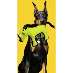 Tuffy's Desert Warthog Plush Dog Toy -PetSafe Kong Shop 184030 PT2. AC SS1800 V1589570529