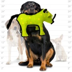 Tuffy's Desert Warthog Plush Dog Toy -PetSafe Kong Shop 184030 PT3. AC SS1800 V1589570527