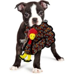 Tuffy's Jr Barnyard Turkey Squeaky Plush Dog Toy -PetSafe Kong Shop 184051 PT2. AC SS1800 V1589570754