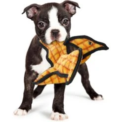 Tuffy's Jr Dinosaur Pterodactyl Squeaky Plush Dog Toy 8 Tuffy's Jr Dinosaur Pterodactyl Squeaky Plush Dog Toy -PetSafe Kong Shop 184063 PT2. AC SS1800 V1589570764