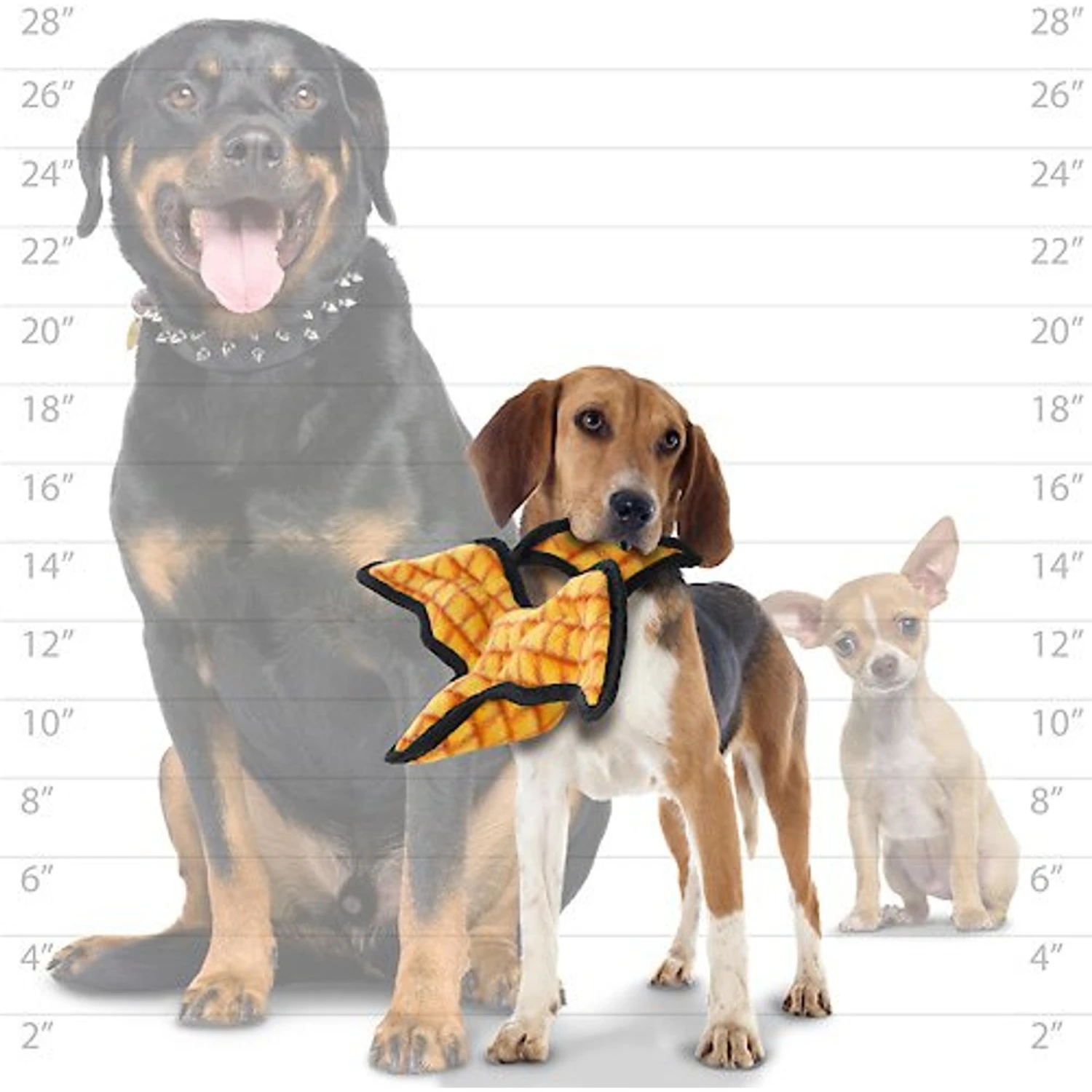 Tuffy's Jr Dinosaur Pterodactyl Squeaky Plush Dog Toy 4 Tuffy's Jr Dinosaur Pterodactyl Squeaky Plush Dog Toy - Image 4