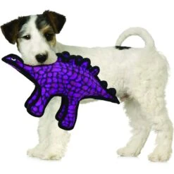 Tuffy's Jr Dinosaur Stegosaurus Plush Dog Toy -PetSafe Kong Shop 184065 PT2. AC SS1800 V1589570791