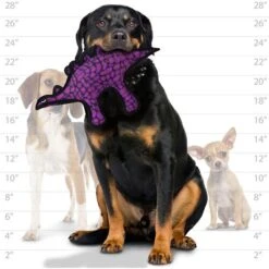 Tuffy's Jr Dinosaur Stegosaurus Plush Dog Toy -PetSafe Kong Shop 184065 PT3. AC SS1800 V1564002422