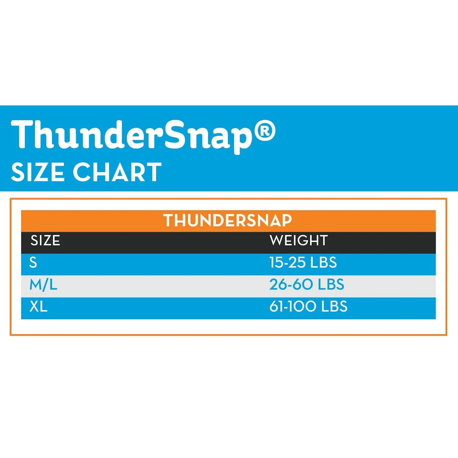 ThunderSnap Nylon Dog Leash 2 ThunderSnap Nylon Dog Leash - Image 2