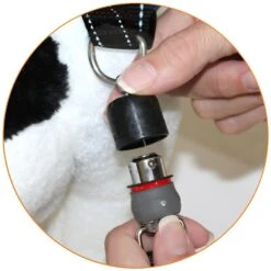 ThunderSnap Nylon Dog Leash 6 ThunderSnap Nylon Dog Leash -PetSafe Kong Shop 184251 PT2. AC SS1800 V1600990268