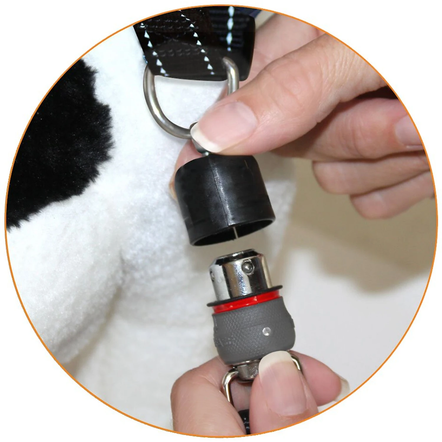 ThunderSnap Nylon Dog Leash 3 ThunderSnap Nylon Dog Leash - Image 3