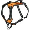PetSafe Walk Along Nylon Reflective Back Clip Dog Harness