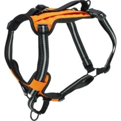 PetSafe Walk Along Nylon Reflective Back Clip Dog Harness