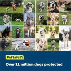 PetSafe Stay & Play Wireless Dog Fence Replacement Transmitter -PetSafe Kong Shop 185246 PT5. AC SS1800 V1685727311