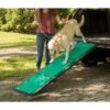 Pet Gear Tri-Fold Dog Car Ramp With Supertrax