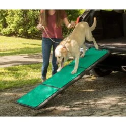 Pet Gear Tri-Fold Dog Car Ramp With Supertrax