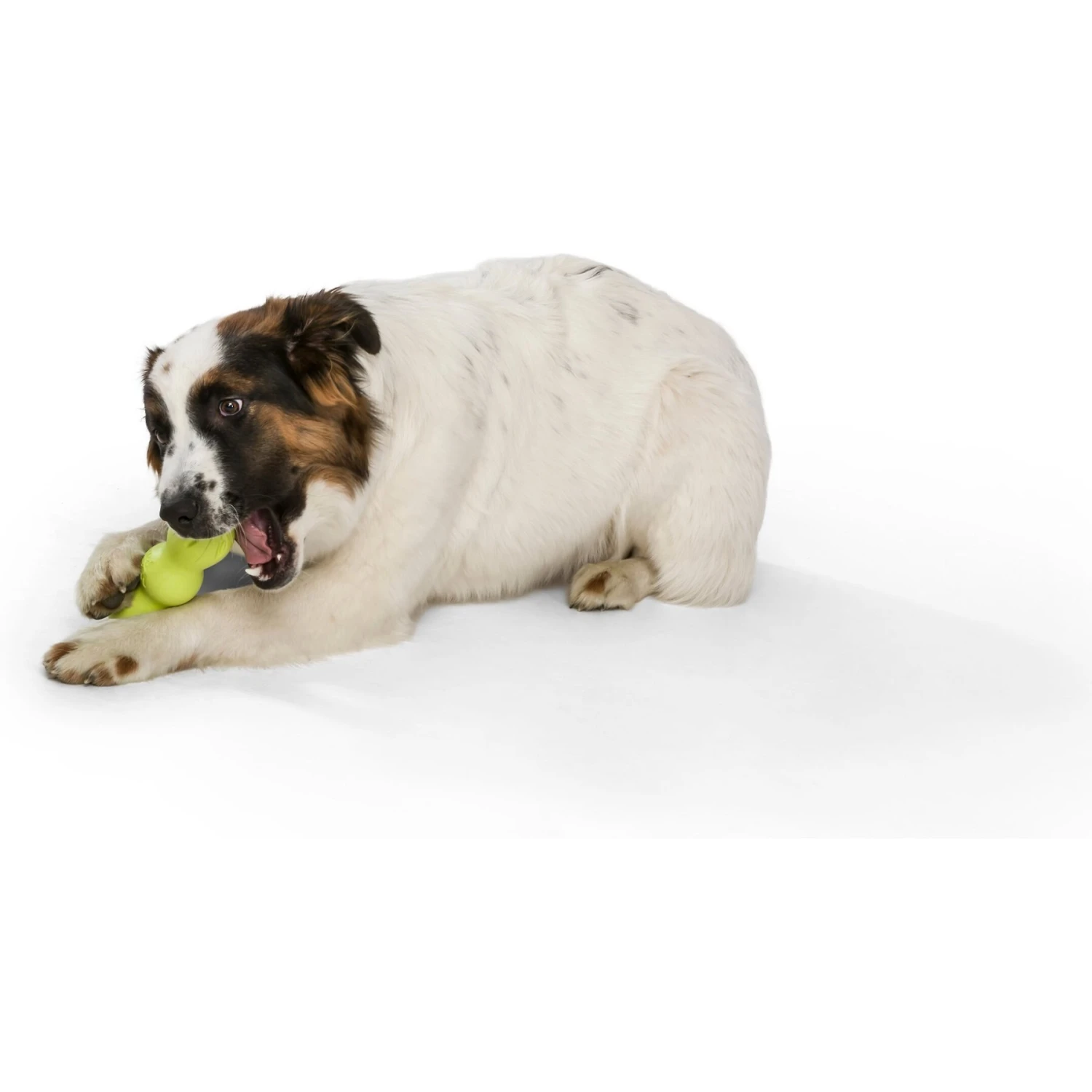 West Paw Rumpus Small Tough Dog Chew Toy 3 West Paw Rumpus Small Tough Dog Chew Toy - Image 3