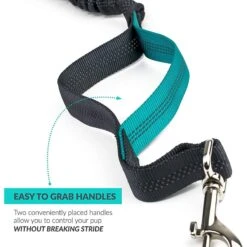 Tuff Mutt Hands Free Bungee Dog Leash 8 Tuff Mutt Hands Free Bungee Dog Leash -PetSafe Kong Shop 187016 PT3. AC SS1800 V1564783626