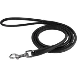 CollarDirect Rolled Leather Dog Leash