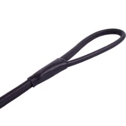 CollarDirect Rolled Leather Dog Leash -PetSafe Kong Shop 189913 PT2. AC SS1800 V1565038622