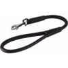 CollarDirect Short Traffic Rolled Leather Dog Leash
