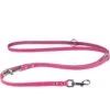CollarDirect Multifunctional Leather Dog Leash
