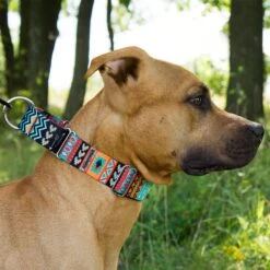 CollarDirect Tribal Aztec Nylon Martingale Dog Collar -PetSafe Kong Shop 190081 PT2. AC SS1800 V1611613567