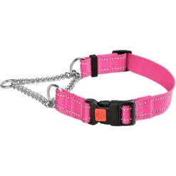 CollarDirect Nylon Reflective Martingale Dog Collar -PetSafe Kong Shop 190166 PT2. AC SS1800 V1612363284