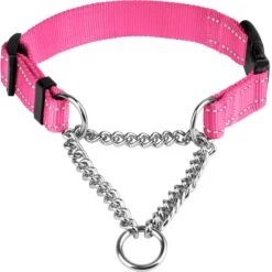 CollarDirect Nylon Reflective Martingale Dog Collar -PetSafe Kong Shop 190166 PT4. AC SS1800 V1612363282
