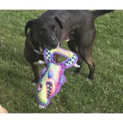 FUZZU Grab Nabbers Fish Tank Hank Squeaker Dog Toy -PetSafe Kong Shop 190450 PT2. AC SS1800 V1602299764