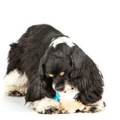 Charming Pet Howling Hoots Squeaky Plush Dog Toy -PetSafe Kong Shop 190532 PT2. AC SS1800 V1594671697