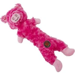 Charming Pet Lil Dudes Pig Squeaky Plush Dog Toy -PetSafe Kong Shop 190554 PT4. AC SS1800 V1594675011