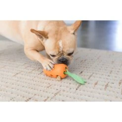 Petstages Carrot Stuffer Treat Dispenser Dog Toy -PetSafe Kong Shop 190710 PT5. AC SS1800 V1631684228