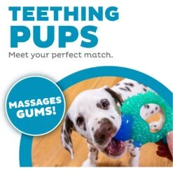 Petstages Cutie Chewies Dog Toy -PetSafe Kong Shop 190749 PT1. AC SS1800 V1631691095