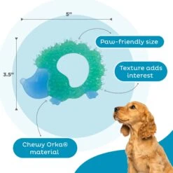 Petstages Cutie Chewies Dog Toy -PetSafe Kong Shop 190749 PT2. AC SS1800 V1631685079