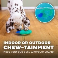 Petstages Cutie Chewies Dog Toy -PetSafe Kong Shop 190749 PT4. AC SS1800 V1631691093