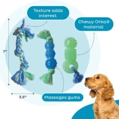 Petstages Mini Dentachew Tough Dog Chew Toy -PetSafe Kong Shop 190755 PT2. AC SS1800 V1631688972