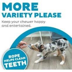 Petstages Mini Dentachew Tough Dog Chew Toy -PetSafe Kong Shop 190755 PT3. AC SS1800 V1631681776