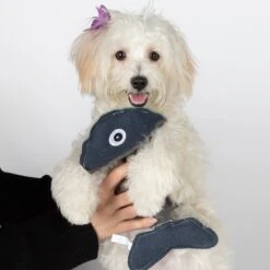 Paws & Pals Natural Fish Plush Dog Toy -PetSafe Kong Shop 190887 PT1. AC SS1800 V1565883788