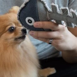 Paws & Pals Natural Fish Plush Dog Toy -PetSafe Kong Shop 190887 PT2. AC SS1800 V1565883720