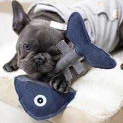 Paws & Pals Natural Fish Plush Dog Toy -PetSafe Kong Shop 190887 PT3. AC SS1800 V1565883729