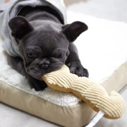 Paws & Pals Seahorse Plush Dog Toy -PetSafe Kong Shop 190891 PT4. AC SS1800 V1565884054