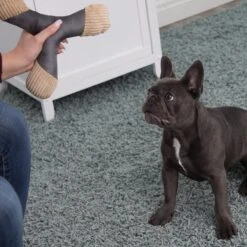 Paws & Pals Tug N' Pull Plush Dog Toy -PetSafe Kong Shop 190895 PT4. AC SS1800 V1565884097