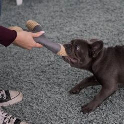 Paws & Pals Tug N' Pull Plush Dog Toy -PetSafe Kong Shop 190895 PT5. AC SS1800 V1565884100